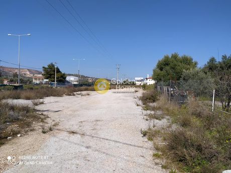 Οικόπεδο 7.000τ.μ. για πώληση-Κορωπί » Κίτσι