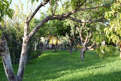 Μονοκατοικία 270τ.μ. για πώληση-Ελληνικό » Κάτω ελληνικό