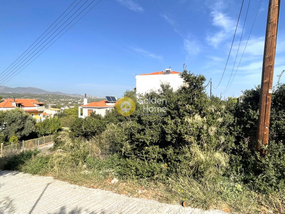 Οικόπεδο 283 τ.μ. προς πώληση, Αθήνα - Ανατολικά Προάστια, Αρτέμιδα (λούτσα)