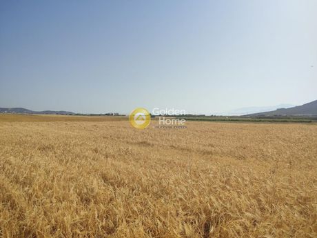 Parcel 2.000sqm for sale-Santorini » Thira
