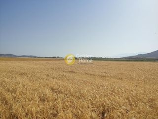 Αγροτεμάχια 2.000 τ.μ. για πώληση