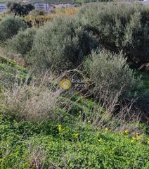 Οικόπεδο 1.560 τ.μ. για πώληση