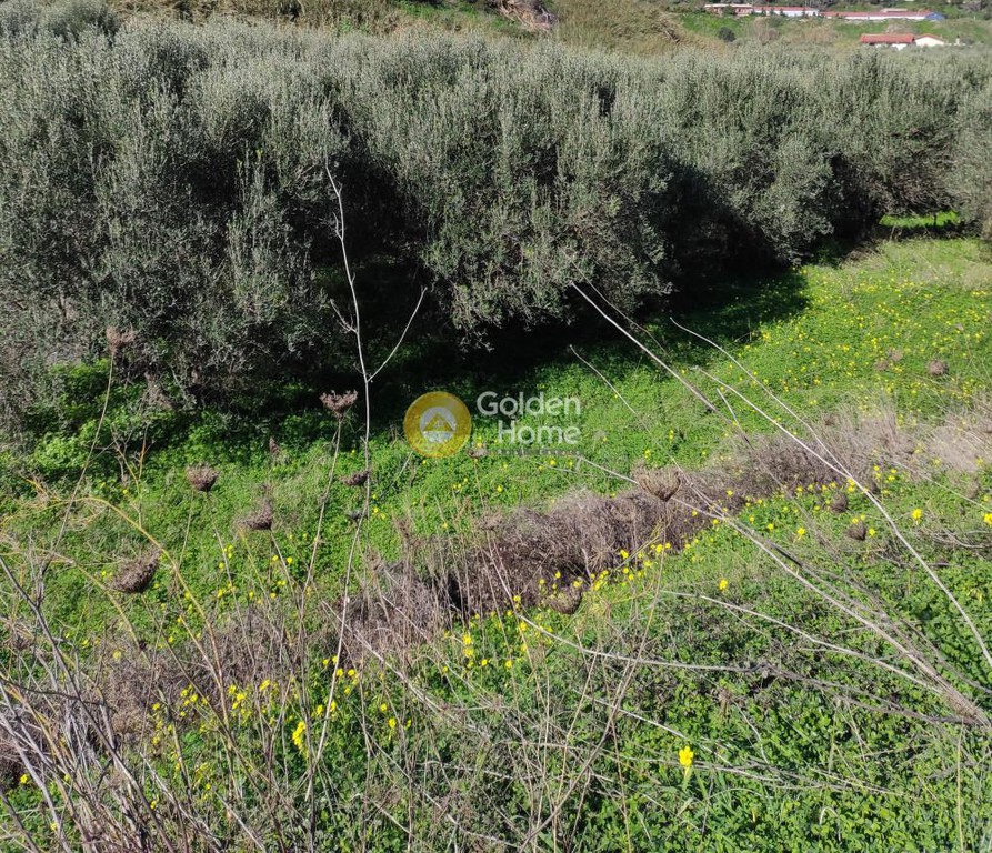 Οικόπεδο 1.560 τ.μ. προς πώληση, Ν. Ηρακλείου, Ηράκλειο Κρήτης