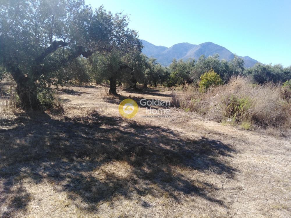 Αγροτεμάχια 2.700 τ.μ. προς πώληση, Μεσσηνία, Κυπαρισσία