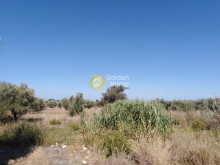 Αγροτεμάχια 2.700 τ.μ. για πώληση, Μεσσηνία, Κυπαρισσία-thumb-7