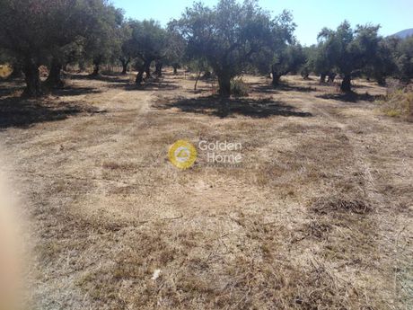Αγροτεμάχια 2.700τ.μ. για πώληση-Κυπαρισσία » Κάμπος