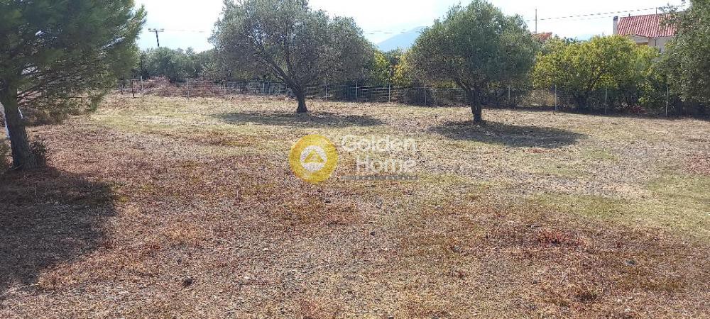 Οικόπεδο 1.800 τ.μ. προς πώληση, Εύβοια, Χαλκίδα