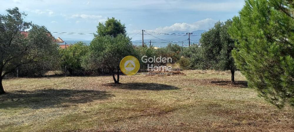 Οικόπεδο 1.800 τ.μ. προς πώληση, Εύβοια, Χαλκίδα