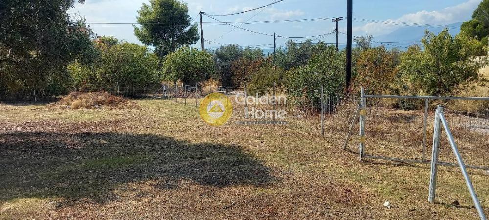 Οικόπεδο 1.800 τ.μ. προς πώληση, Εύβοια, Χαλκίδα