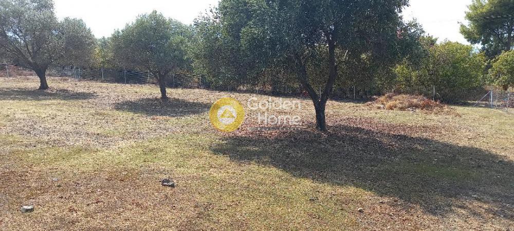 Οικόπεδο 1.800 τ.μ. προς πώληση, Εύβοια, Χαλκίδα