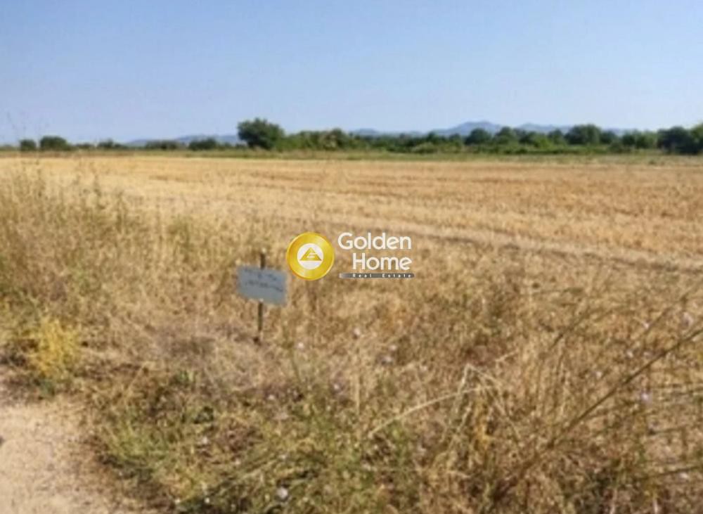 Αγροτεμάχια 18.500 τ.μ. προς πώληση, Εύβοια, Ιστιαία