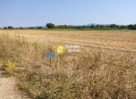 Αγροτεμάχια 18.500 τ.μ. για πώληση