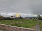 Land plot 4.300sqm for sale-Aegina » Kipseli