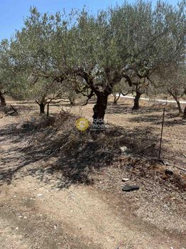 Οικόπεδο 4.000 τ.μ. για πώληση