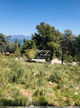 Οικόπεδο 1.060τ.μ. για πώληση-Θήβα » Κέντρο
