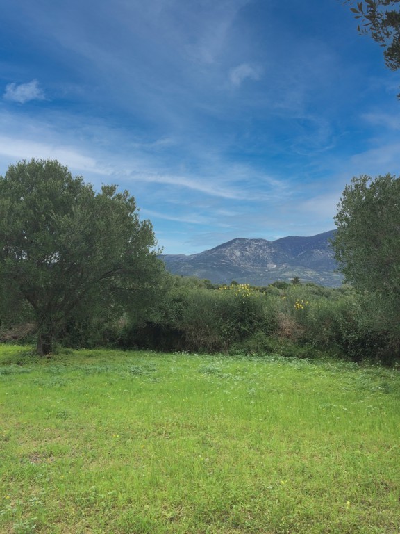 Αγροτεμάχια 3.765 τ.μ. προς πώληση, Λειβαθώ