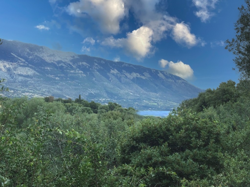 Αγροτεμάχια 3.765 τ.μ. προς πώληση, Λειβαθώ