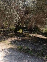 Αγροτεμάχια 500 τ.μ. για ενοικίαση, Ν. Ηρακλείου, Ηράκλειο Κρήτης-thumb-7