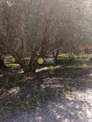 Αγροτεμάχια 500 τ.μ. για ενοικίαση, Ν. Ηρακλείου, Ηράκλειο Κρήτης-thumb-4