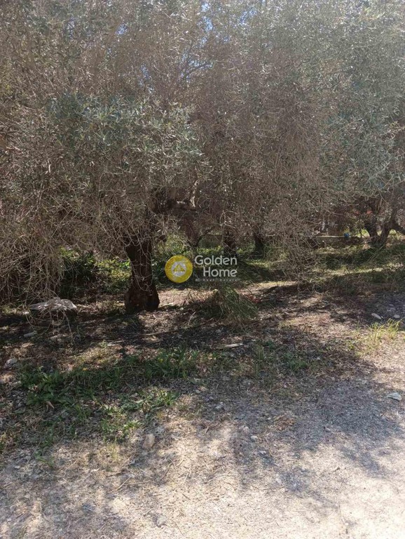 Αγροτεμάχια 500 τ.μ. προς ενοικίαση, Ν. Ηρακλείου, Ηράκλειο Κρήτης