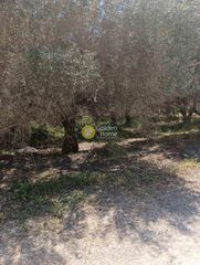 Αγροτεμάχια 500 τ.μ. για ενοικίαση, Ν. Ηρακλείου, Ηράκλειο Κρήτης-thumb-2
