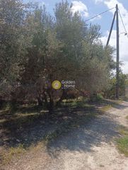 Αγροτεμάχια 500 τ.μ. για ενοικίαση, Ν. Ηρακλείου, Ηράκλειο Κρήτης-thumb-1