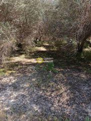 Αγροτεμάχια 500 τ.μ. για ενοικίαση, Ν. Ηρακλείου, Ηράκλειο Κρήτης-thumb-6