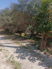 Αγροτεμάχια 500 τ.μ. για ενοικίαση, Ν. Ηρακλείου, Ηράκλειο Κρήτης-thumb-5
