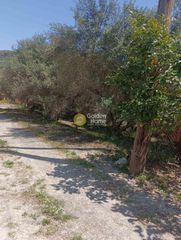 Αγροτεμάχια 500 τ.μ. για ενοικίαση, Ν. Ηρακλείου, Ηράκλειο Κρήτης-thumb-9