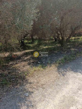 Αγροτεμάχια 500 τ.μ. για ενοικίαση, Ν. Ηρακλείου, Ηράκλειο Κρήτης