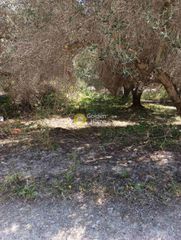 Αγροτεμάχια 500 τ.μ. για ενοικίαση, Ν. Ηρακλείου, Ηράκλειο Κρήτης-thumb-8