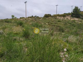Αγροτεμάχια 4.750 τ.μ. για πώληση, Αττική - Υπόλοιπο, Πολυδένδρι-thumb-6