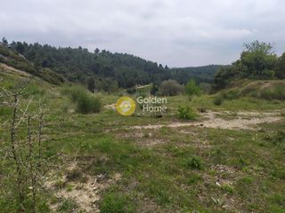 Αγροτεμάχια 4.750 τ.μ. για πώληση, Αττική - Υπόλοιπο, Πολυδένδρι-thumb-8