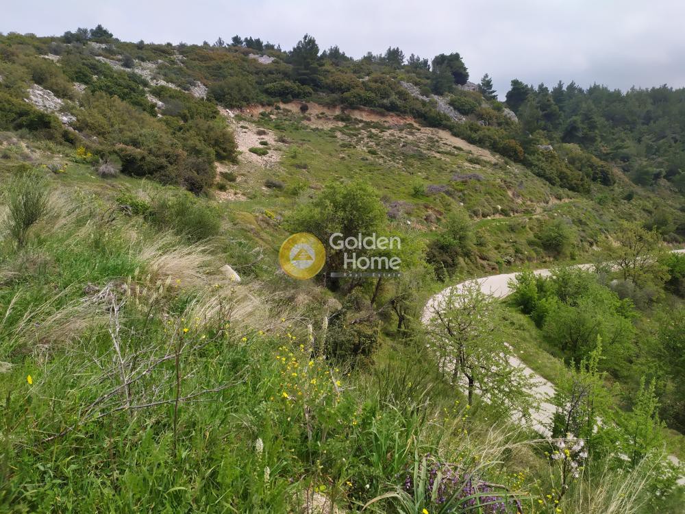 Αγροτεμάχια 4.750 τ.μ. προς πώληση, Αττική - Υπόλοιπο, Πολυδένδρι