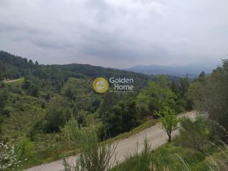 Αγροτεμάχια 4.750 τ.μ. για πώληση, Αττική - Υπόλοιπο, Πολυδένδρι-thumb-4