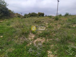 Αγροτεμάχια 4.750 τ.μ. για πώληση, Αττική - Υπόλοιπο, Πολυδένδρι-thumb-7
