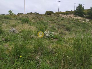 Αγροτεμάχια 4.750 τ.μ. για πώληση, Αττική - Υπόλοιπο, Πολυδένδρι-thumb-5