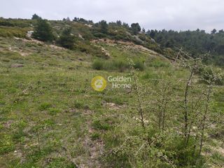 Αγροτεμάχια 4.750 τ.μ. για πώληση, Αττική - Υπόλοιπο, Πολυδένδρι-thumb-10