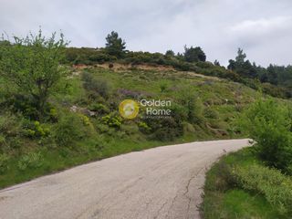 Αγροτεμάχια 4.750 τ.μ. για πώληση