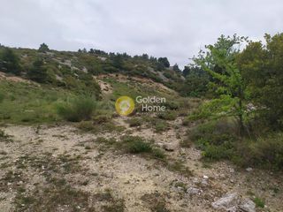 Αγροτεμάχια 4.750 τ.μ. για πώληση, Αττική - Υπόλοιπο, Πολυδένδρι-thumb-12