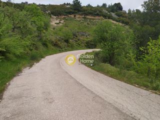 Αγροτεμάχια 4.750 τ.μ. για πώληση, Αττική - Υπόλοιπο, Πολυδένδρι-thumb-9