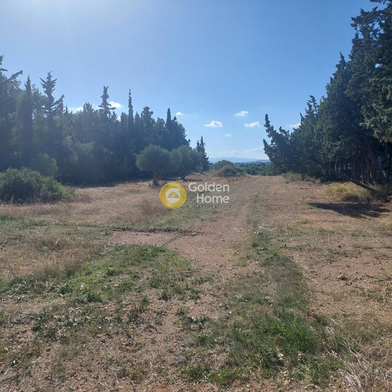 Αγροτεμάχια 2.185 τ.μ. προς πώληση, Βοιωτία, Σχηματάρι