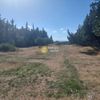 Parcel 2.185sqm for sale-Schimatari » Plaka Dilesi