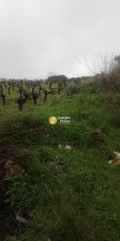 Οικόπεδο 1.000 τ.μ. προς πώληση, Ν. Ηρακλείου, Ηράκλειο Κρήτης