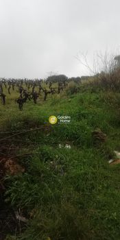 Οικόπεδο 1.000 τ.μ. για πώληση