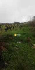 Οικόπεδο 1.000 τ.μ. για πώληση