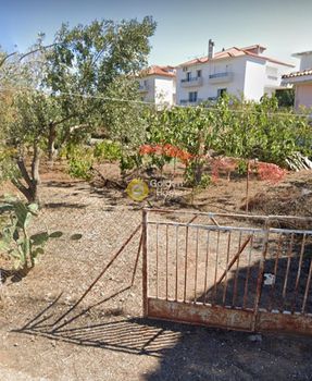 Οικόπεδο 636τ.μ. για πώληση-Παιανία » Τρίγωνο λαγού