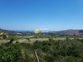 Οικόπεδο 4.800 τ.μ. για πώληση