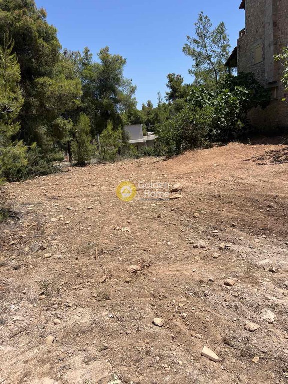 Οικόπεδο 524 τ.μ. προς πώληση, Φθιώτιδας, Μαλεσίνα