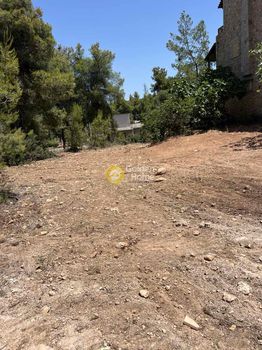 Οικόπεδο 524τ.μ. για πώληση-Μαλεσίνα » Θεολόγος